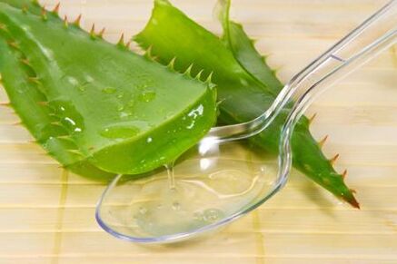 Il succo di Kalanchoe è usato per trattare la prostatite