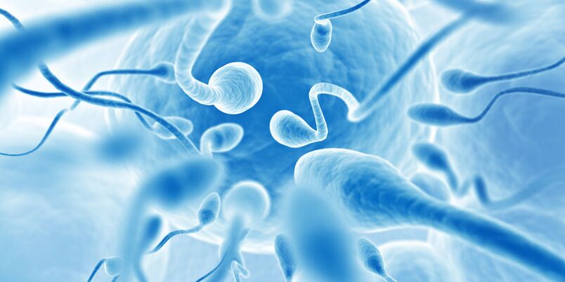 Eiaculazione precoce negli uomini con prostatite cronica